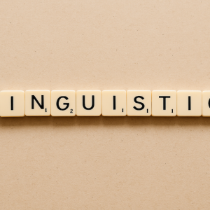 Introduction to Linguistics for Interpreters: Exploring the Subfields That Shape Language