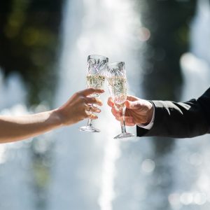 Skills Development Series - Interpreting Formal Speeches - Wedding Toast - 0.05 PS CEUs